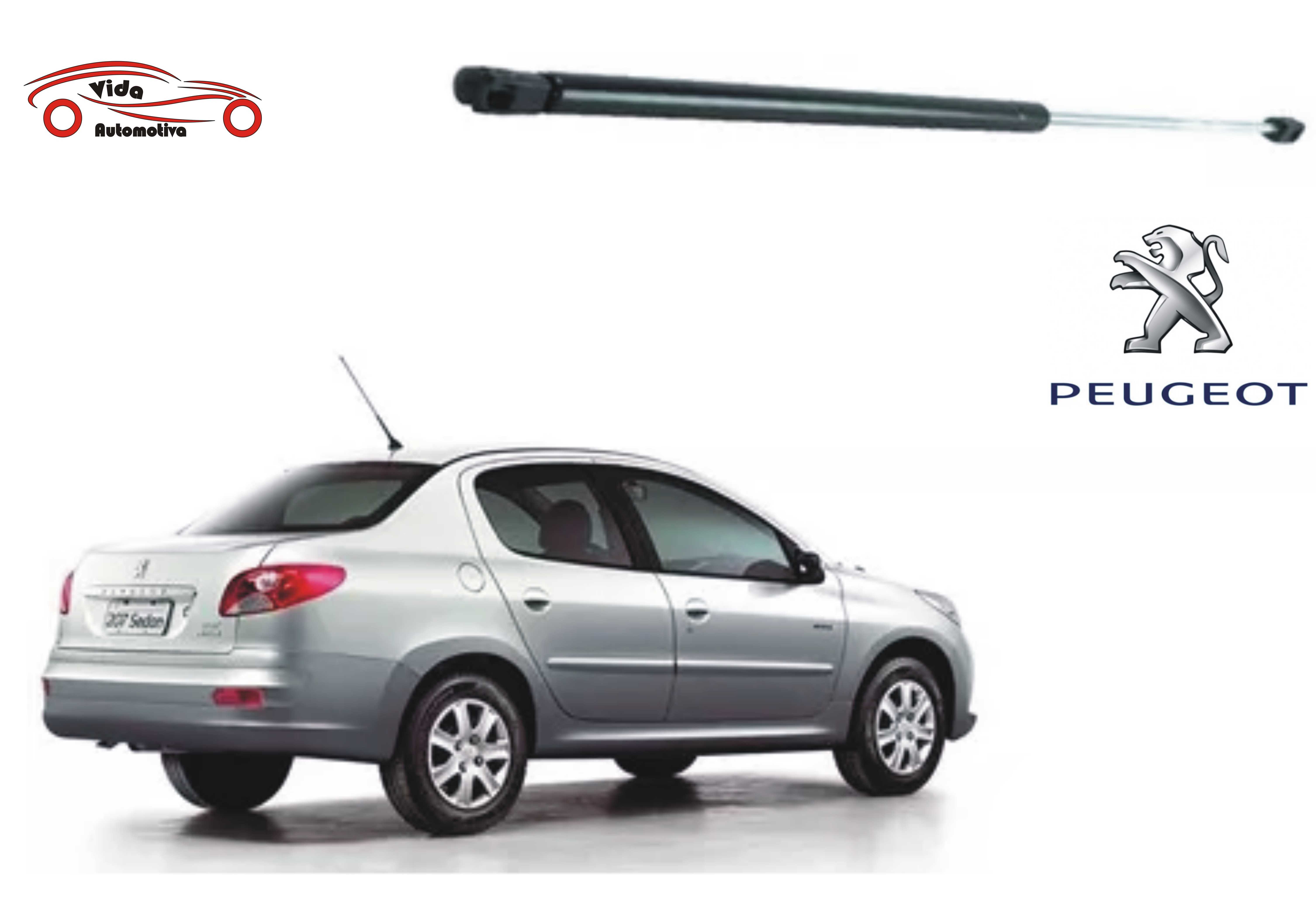 MOLA A GAS PEUGEOT: 207 PASSION 08>13